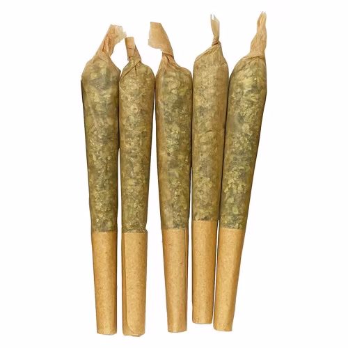 Apricot Cream x Cheese 1:1 Pre-Rolls