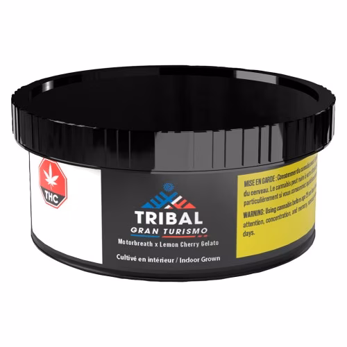Tribal - Gran Turismo