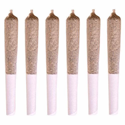 Station House - Jack Herer Pre-Roll