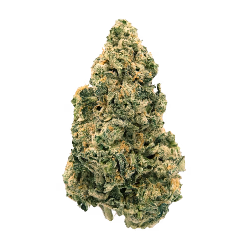 Back Forty - Galactic Jack