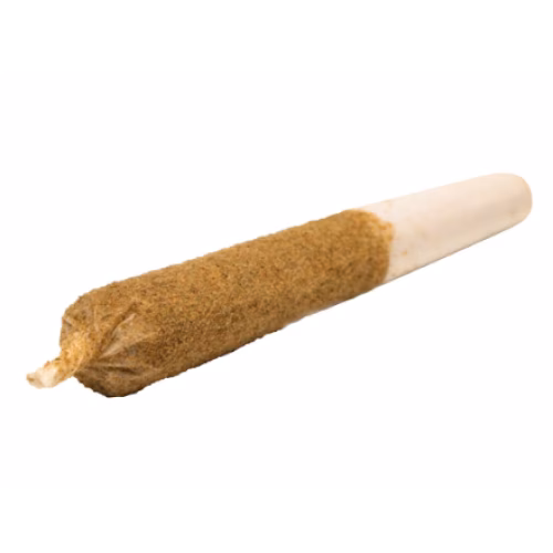 General Admission - Watermelon Splash  Distillate Infused Pre-Roll