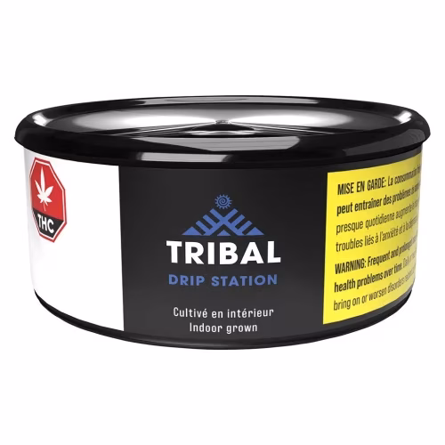 Tribal - Drip station