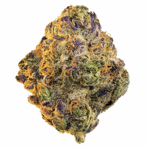 Edison - Slurricane