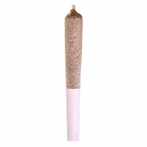 Station House - Blue Dream Pre-Roll