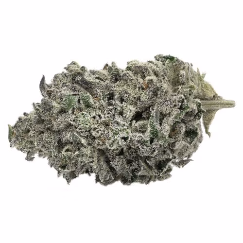 Tantalus Labs - Sunset Sherbert