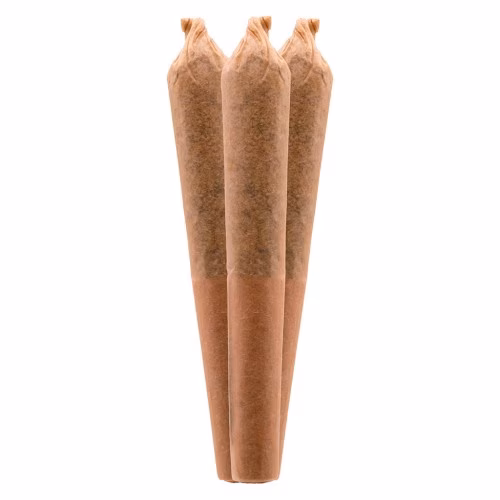 Growtown - Spicy Mango Solventless Infused Pre-Roll