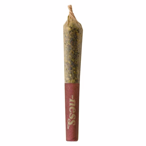 Ness - Pumpkin Spice Infused Pre-Roll