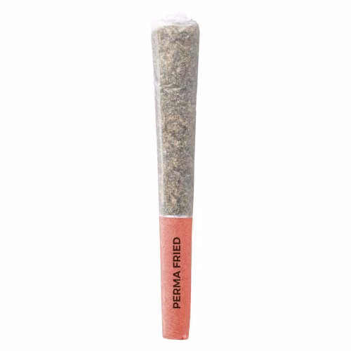 Pistol and Paris - Perma Fried Pre-roll