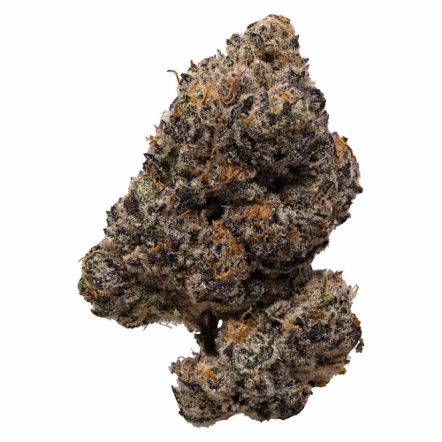 Pink Rockstar