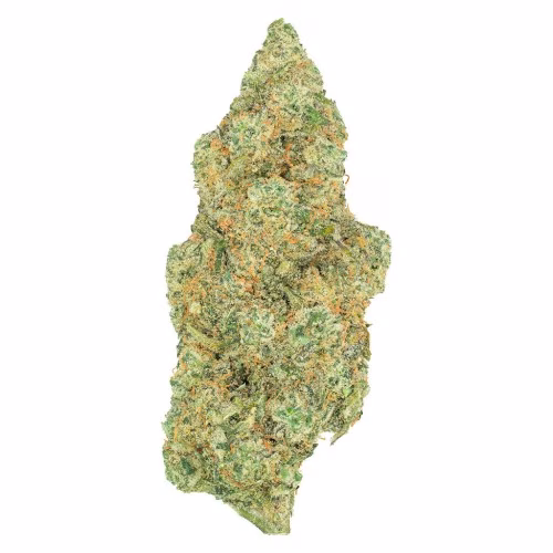 Greybeard - Critical Diesel