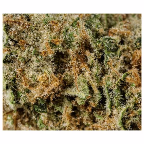 Redecan - Outlaw