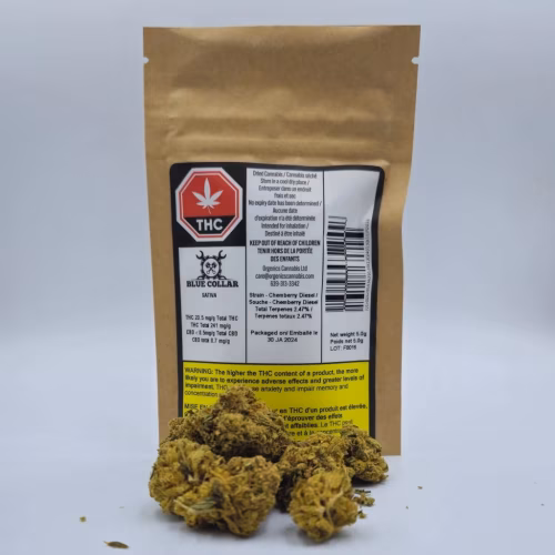 Blue Collar - Blue Collar Sativa