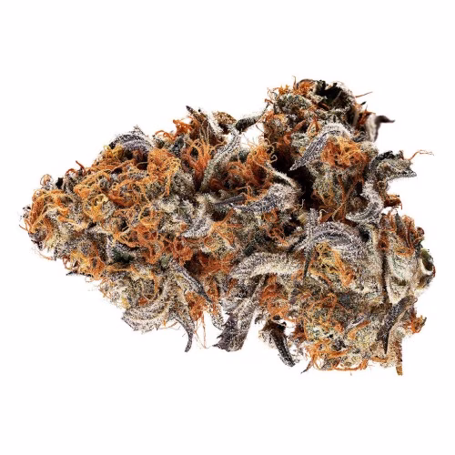 Tribal - Gelato Mint