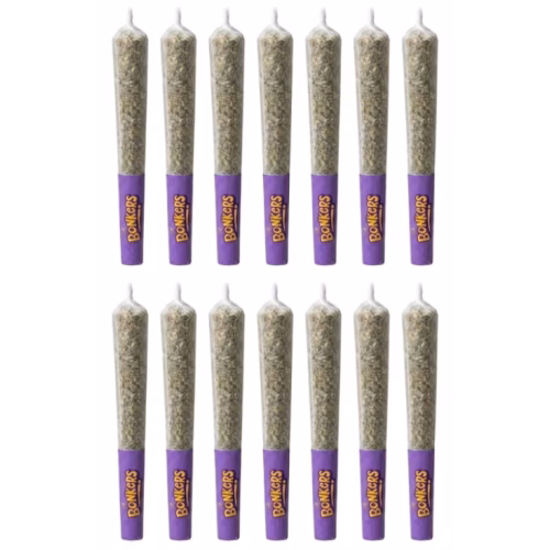 Dream Catcher Pre-Roll