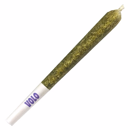 VOLO - Orange Turpentine Pre-Roll