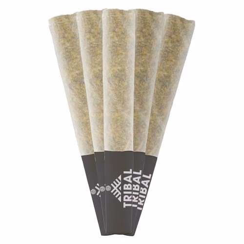 Tribal - Cuban Linx Pre-Roll