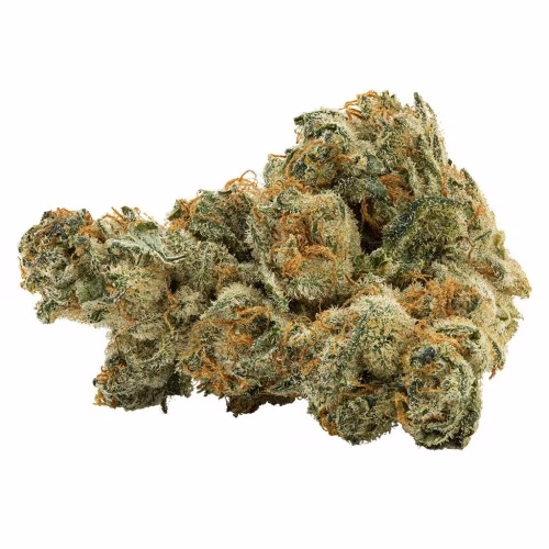Holy Mountain - Vanilla Gelato