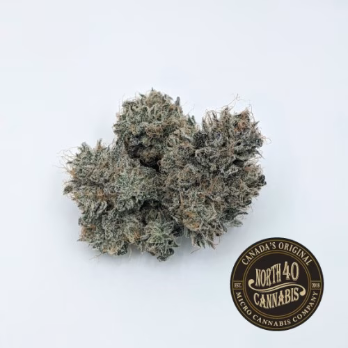 North 40 Cannabis - El Gordo