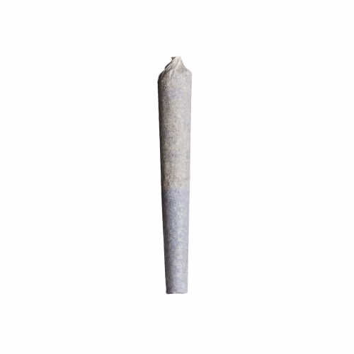 Kushkraft - Platinum Kookies Blunts