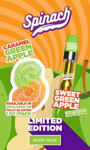 LdYkd8eSD1135l4Bg36kEOZ1qufumI